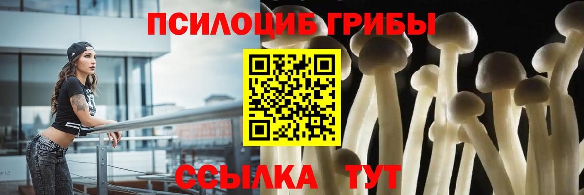 Галлюциногенные грибы мухоморы  Вход с VPN  Галлюциногенные грибы Cubensis  Саяногорск 